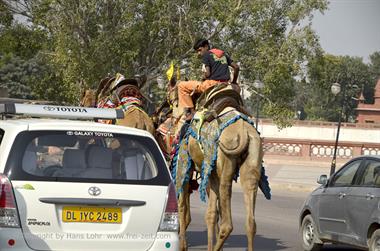 02 PKW-Reise_Mandawa-Bikaner_DSC2681_b_H600